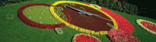 Horloge fleurie Geneva